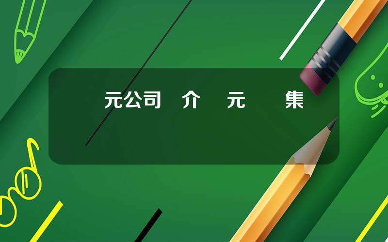 聖元公司簡介 聖元國際集團